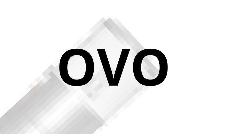 Central Vacuums Brands Ovo Central Vacuums