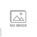 Dyson DC25 Vacuum Cleaner Exhaust Filter HEPA 916188-05